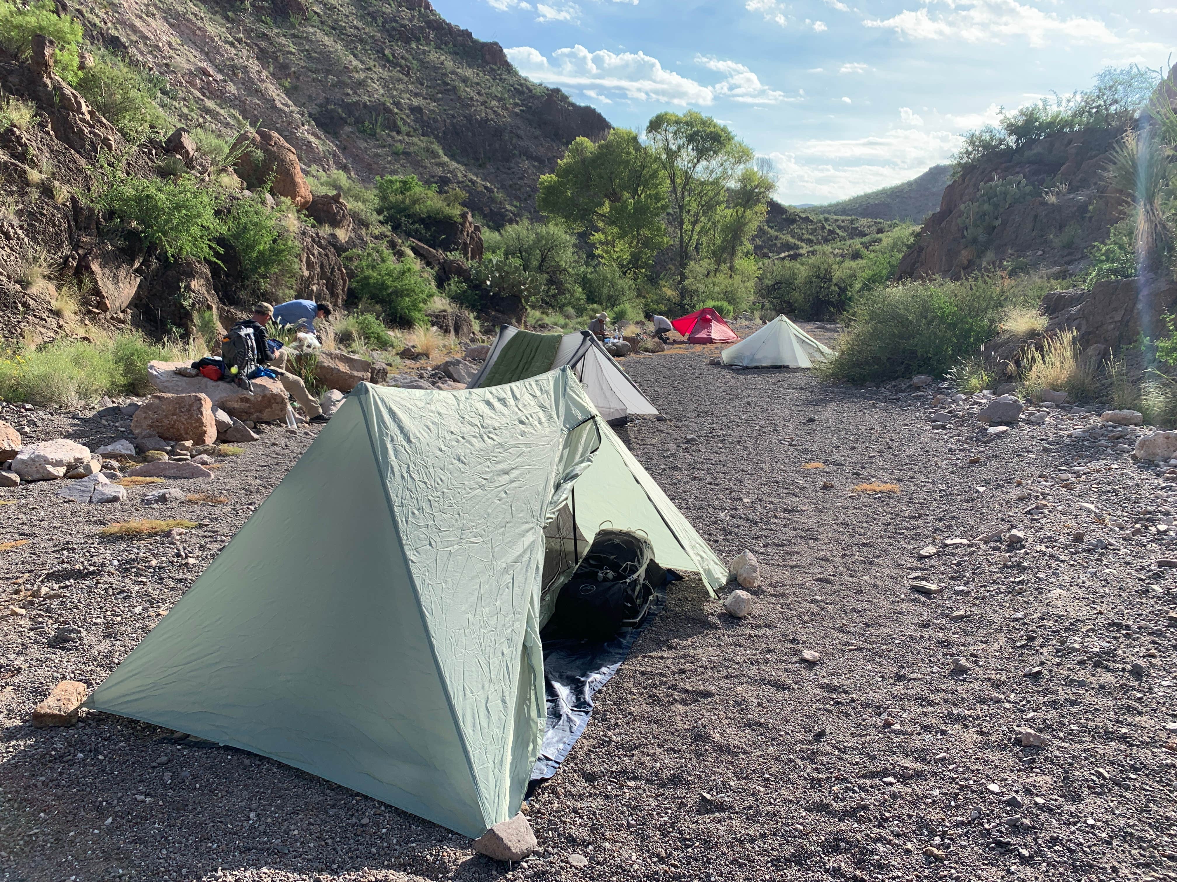 Camper submitted image from Seep Spring on the Rancherias Loop — Big Bend Ranch State Park - 2