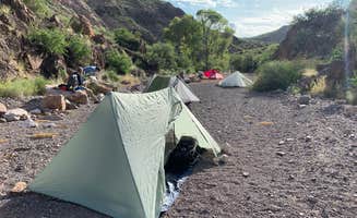 Troy W.'s photo at Seep Spring on the Rancherias Loop — Big Bend Ranch State Park near Presidio, TX
