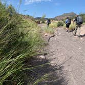 Review photo of Seep Spring on the Rancherias Loop — Big Bend Ranch State Park by Troy W., November 1, 2019