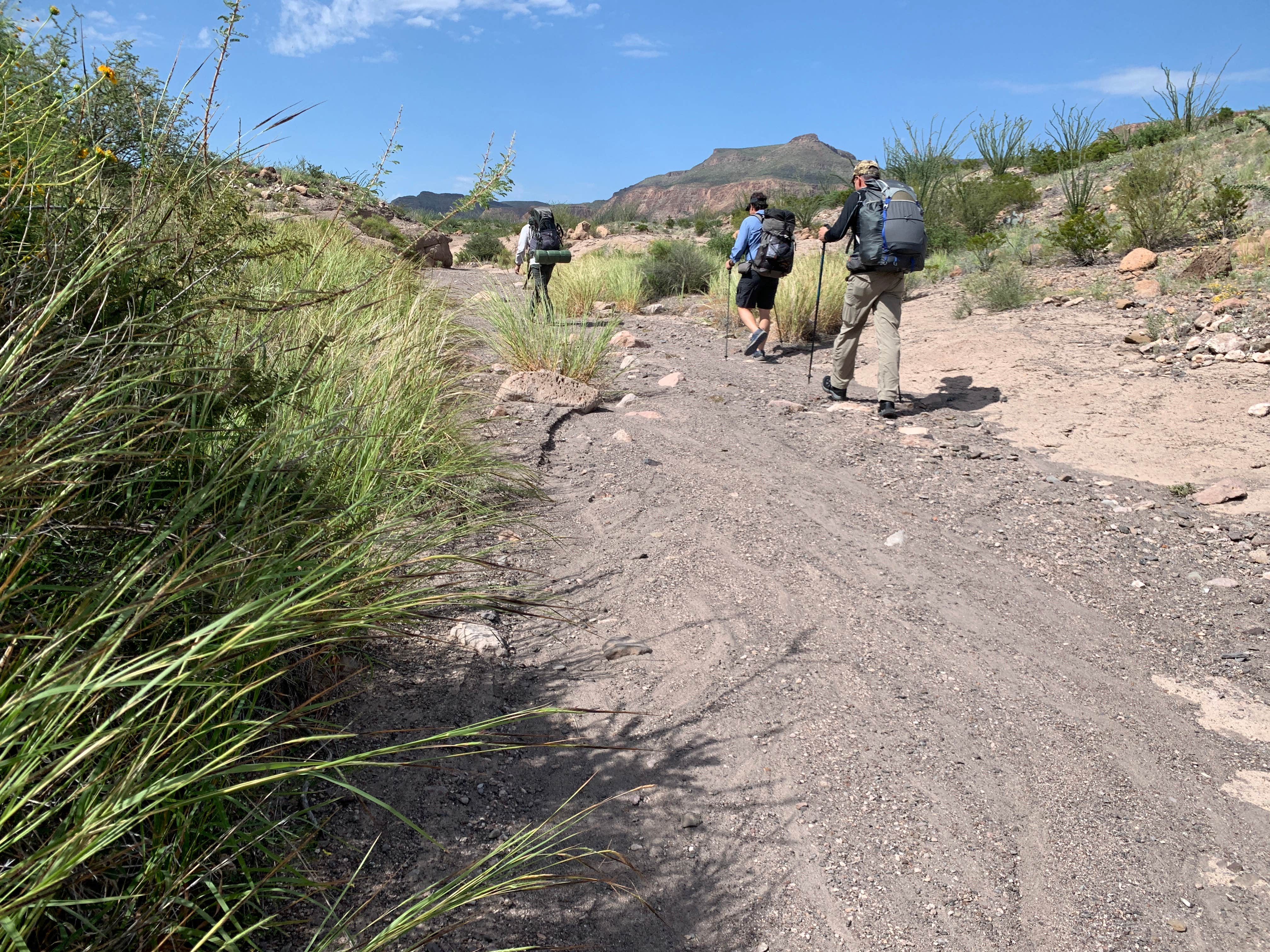 Camper submitted image from Seep Spring on the Rancherias Loop — Big Bend Ranch State Park - 4