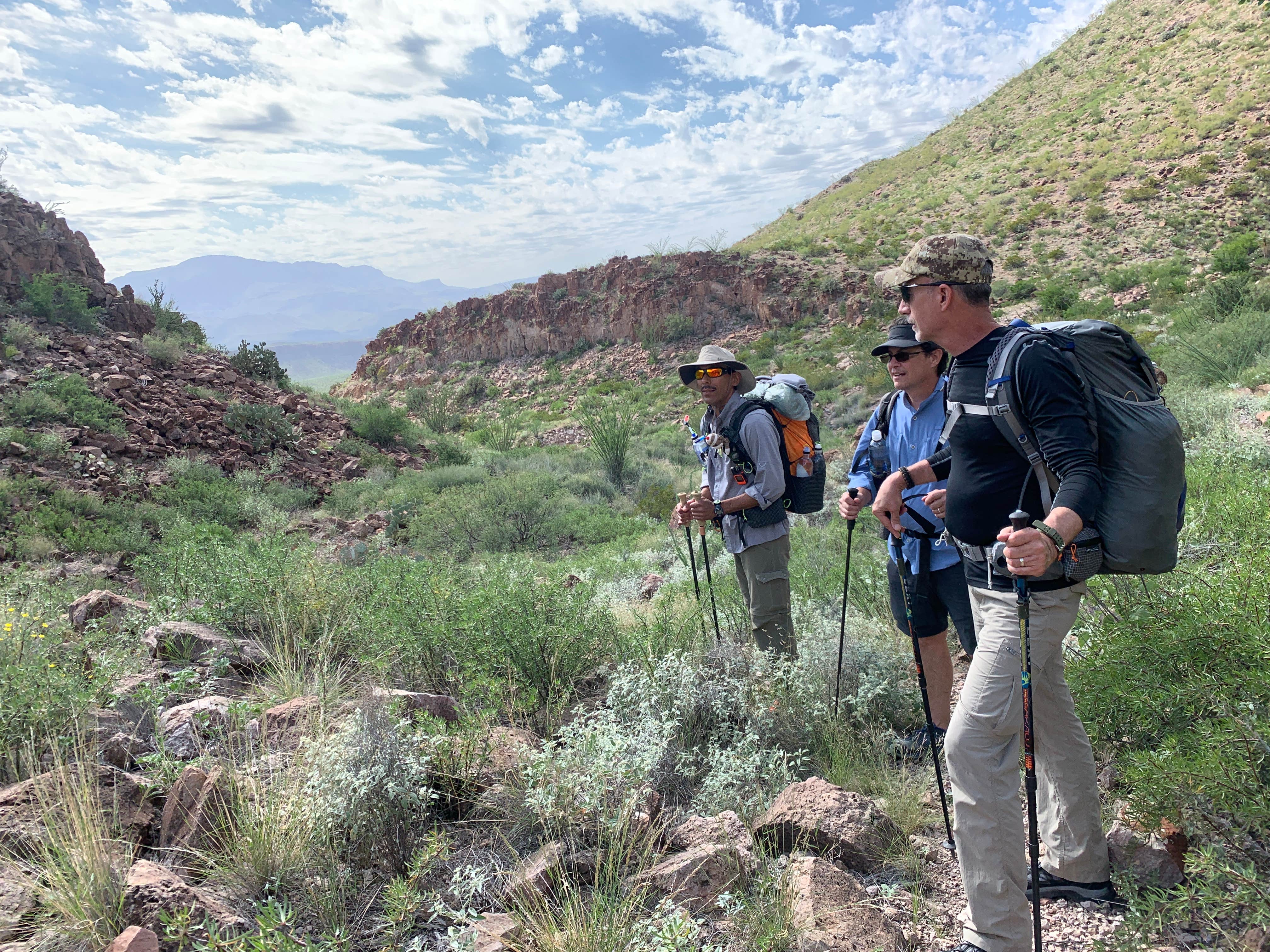 Camper submitted image from Seep Spring on the Rancherias Loop — Big Bend Ranch State Park - 5