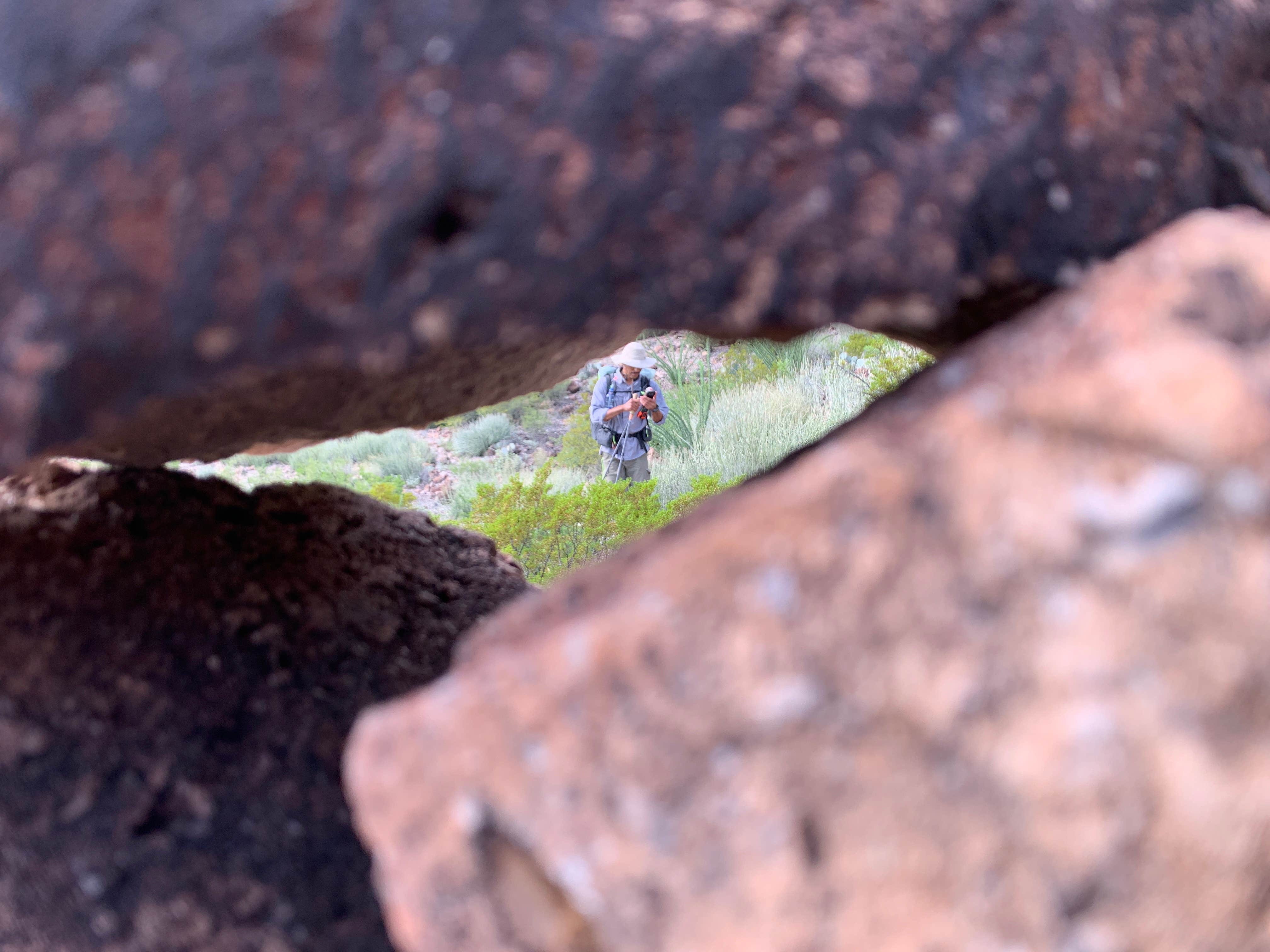 Camper-submitted photo at Seep Spring on the Rancherias Loop — Big Bend Ranch State Park near Terlingua, TX
