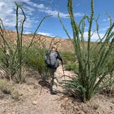 Review photo of Seep Spring on the Rancherias Loop — Big Bend Ranch State Park by Troy W., November 1, 2019