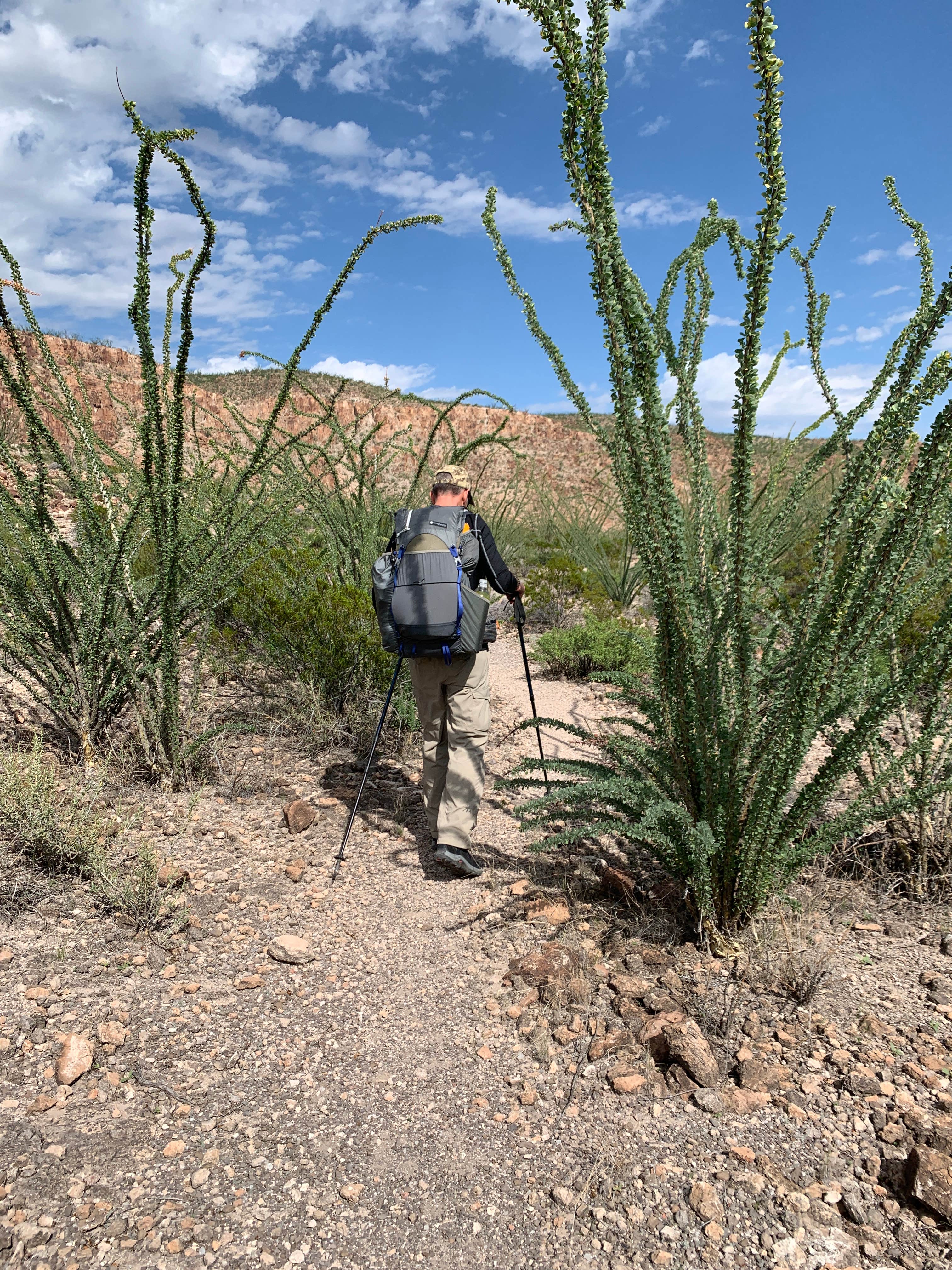 Camper submitted image from Seep Spring on the Rancherias Loop — Big Bend Ranch State Park - 3