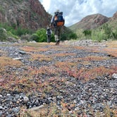 Review photo of Seep Spring on the Rancherias Loop — Big Bend Ranch State Park by Troy W., November 1, 2019