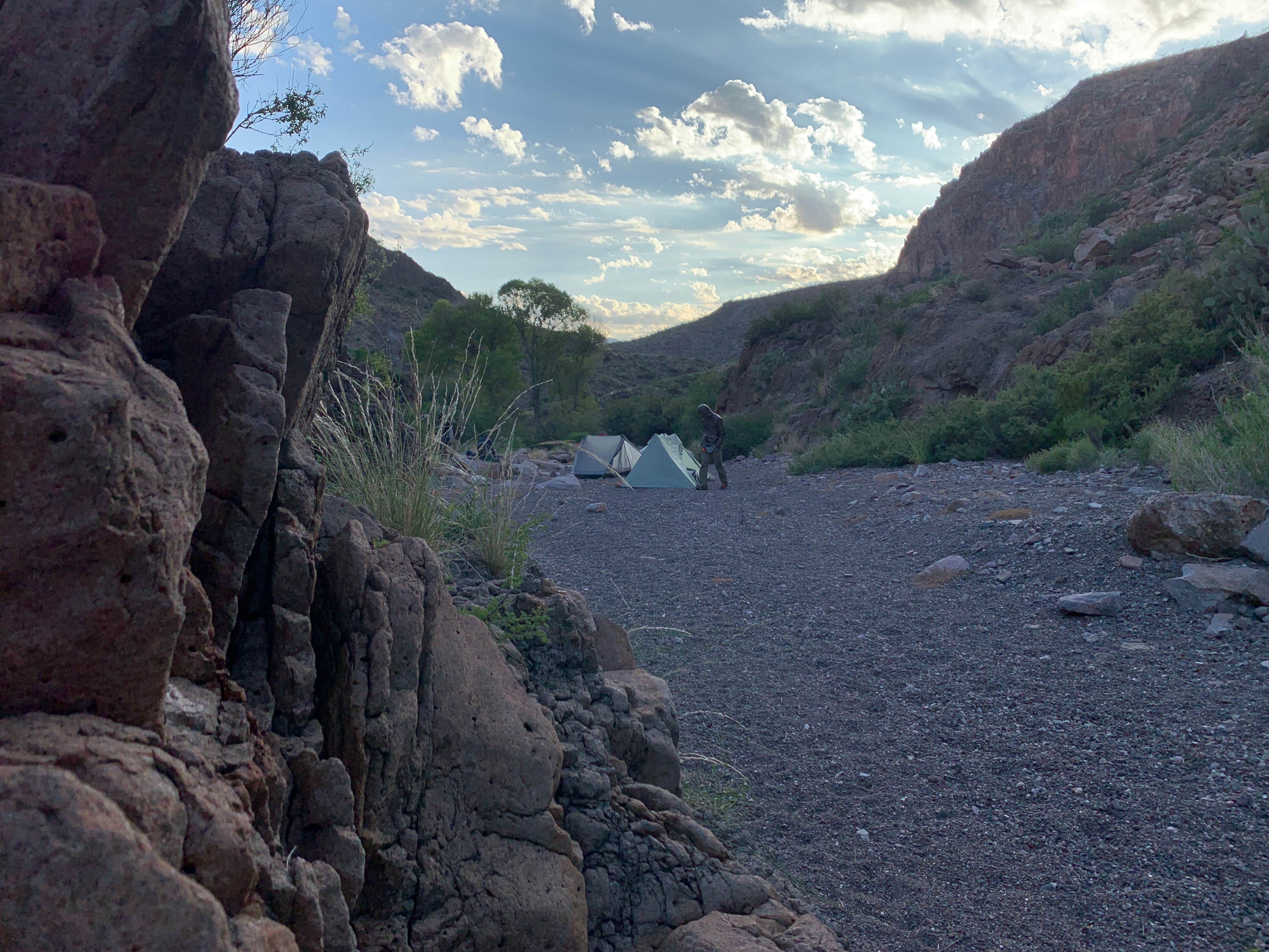 Camper-submitted photo at Seep Spring on the Rancherias Loop — Big Bend Ranch State Park near Terlingua, TX