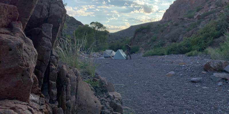 Camper submitted image from Seep Spring on the Rancherias Loop — Big Bend Ranch State Park