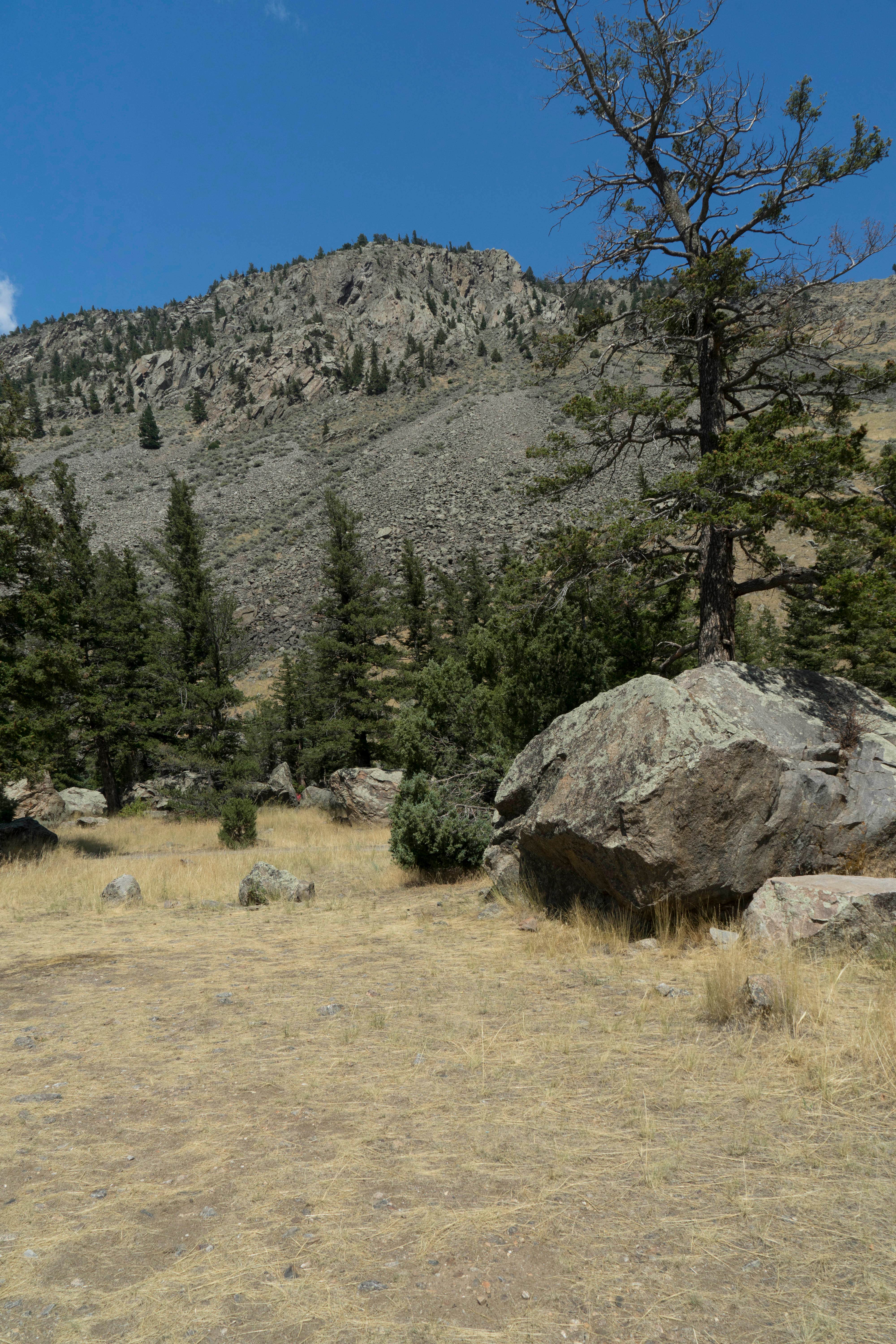 Camper-submitted photo at Canyon Campground near Custer Gallatin National Forest