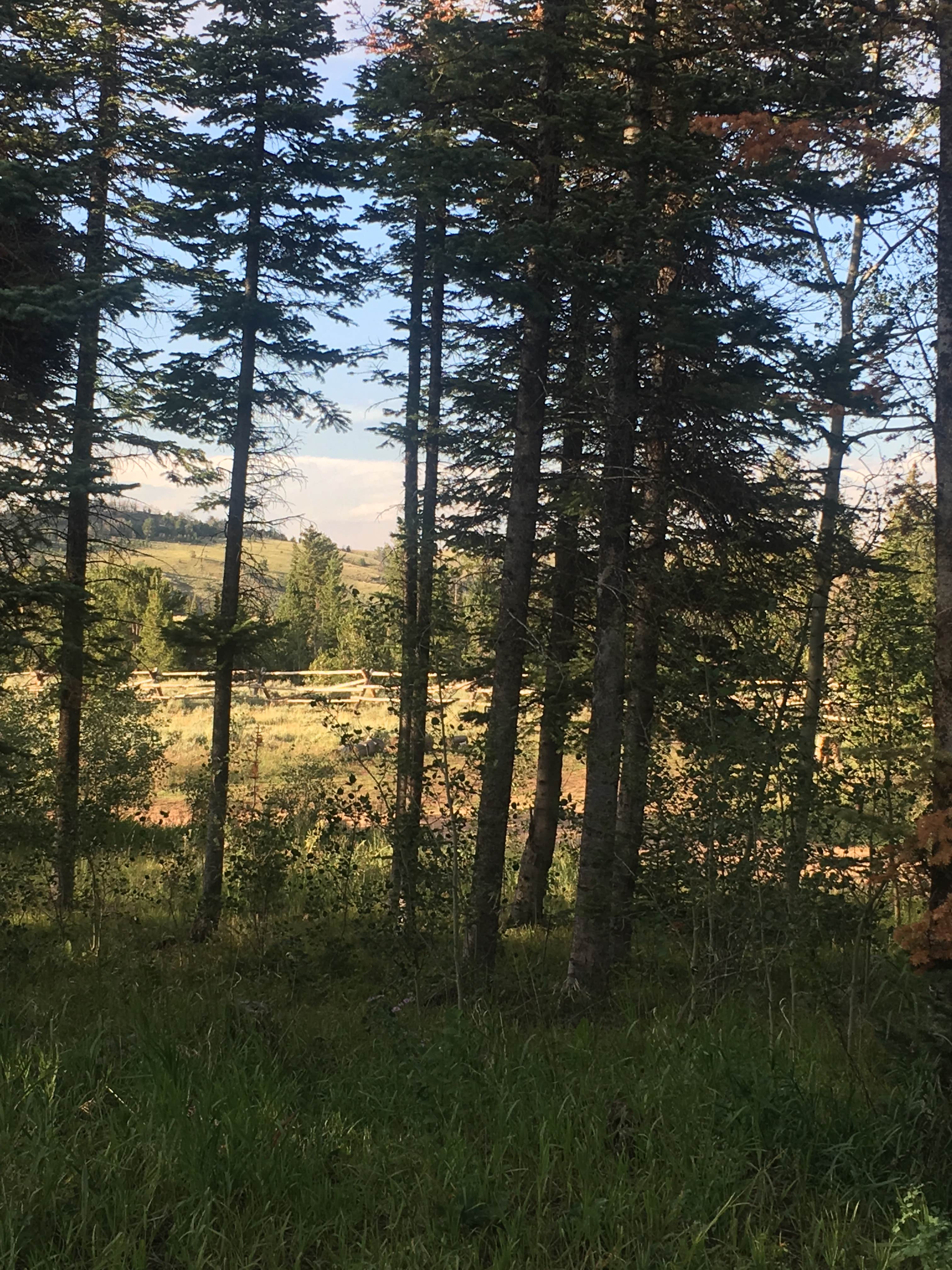 Camper submitted image from Tie City Campground (Wy) - 2