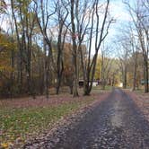 Review photo of Beaver Creek State Park Campground by Bounding Around , November 1, 2019