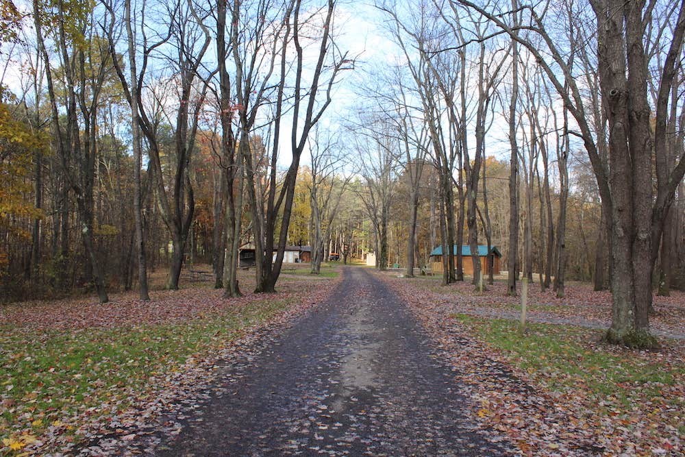 Camper submitted image from Beaver Creek State Park Campground - 3