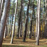 Review photo of Beaver Creek State Park Campground by Bounding Around , November 1, 2019