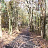 Review photo of Beaver Creek State Park Campground by Bounding Around , November 1, 2019