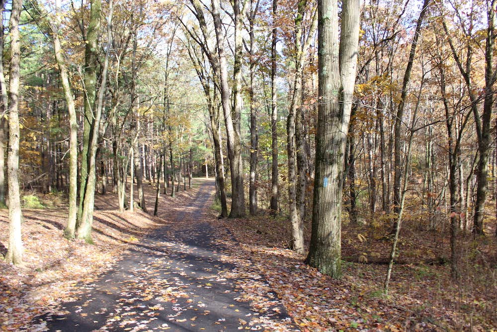 Camper submitted image from Beaver Creek State Park Campground - 4