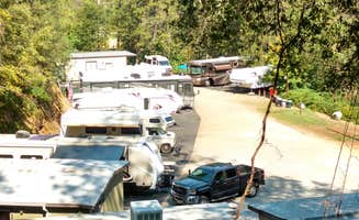 Donna R.'s photo of rv camping at Salt Creek Resort & RV near Cassel, CA