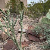 Review photo of Casa Reza Farmhouse and Creek on the Rancherias Loop by Troy W., November 1, 2019