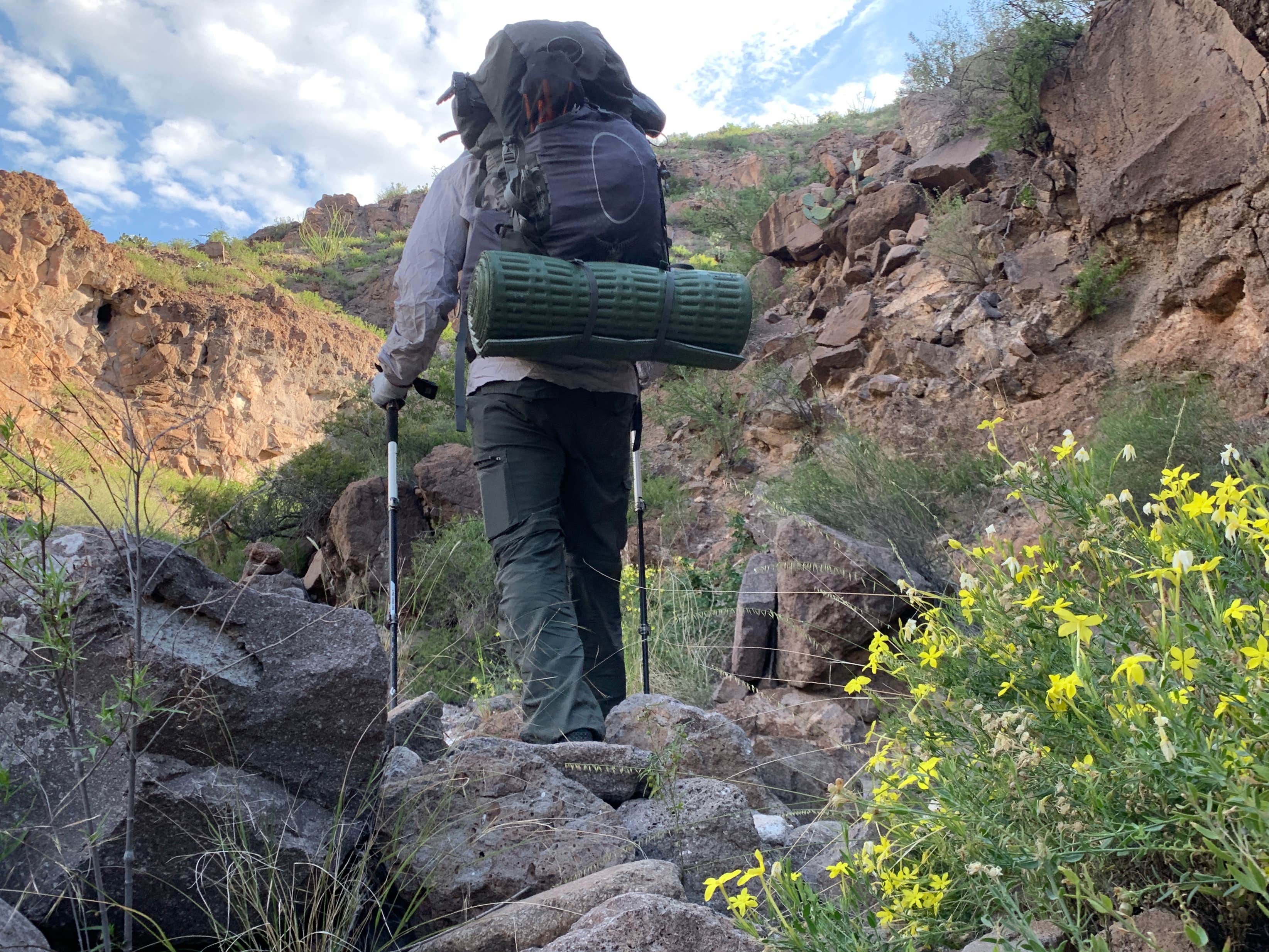 Camper submitted image from Casa Reza Farmhouse and Creek on the Rancherias Loop Primitive Camping — Big Bend Ranch State Park - 4