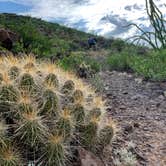 Review photo of Casa Reza Farmhouse and Creek on the Rancherias Loop by Troy W., November 1, 2019