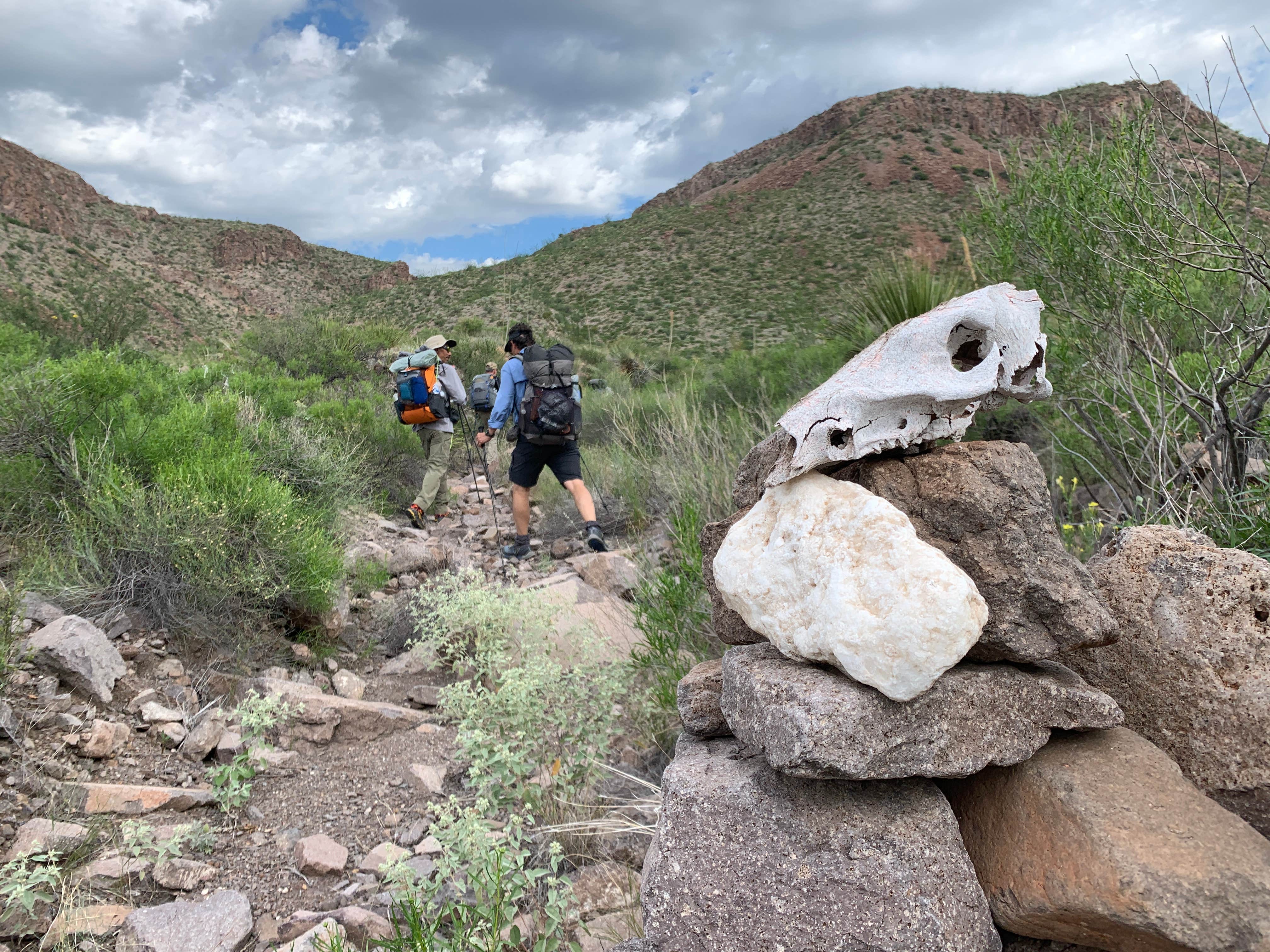 Camper-submitted photo at Casa Reza Farmhouse and Creek on the Rancherias Loop Primitive Camping — Big Bend Ranch State Park near Redford, TX