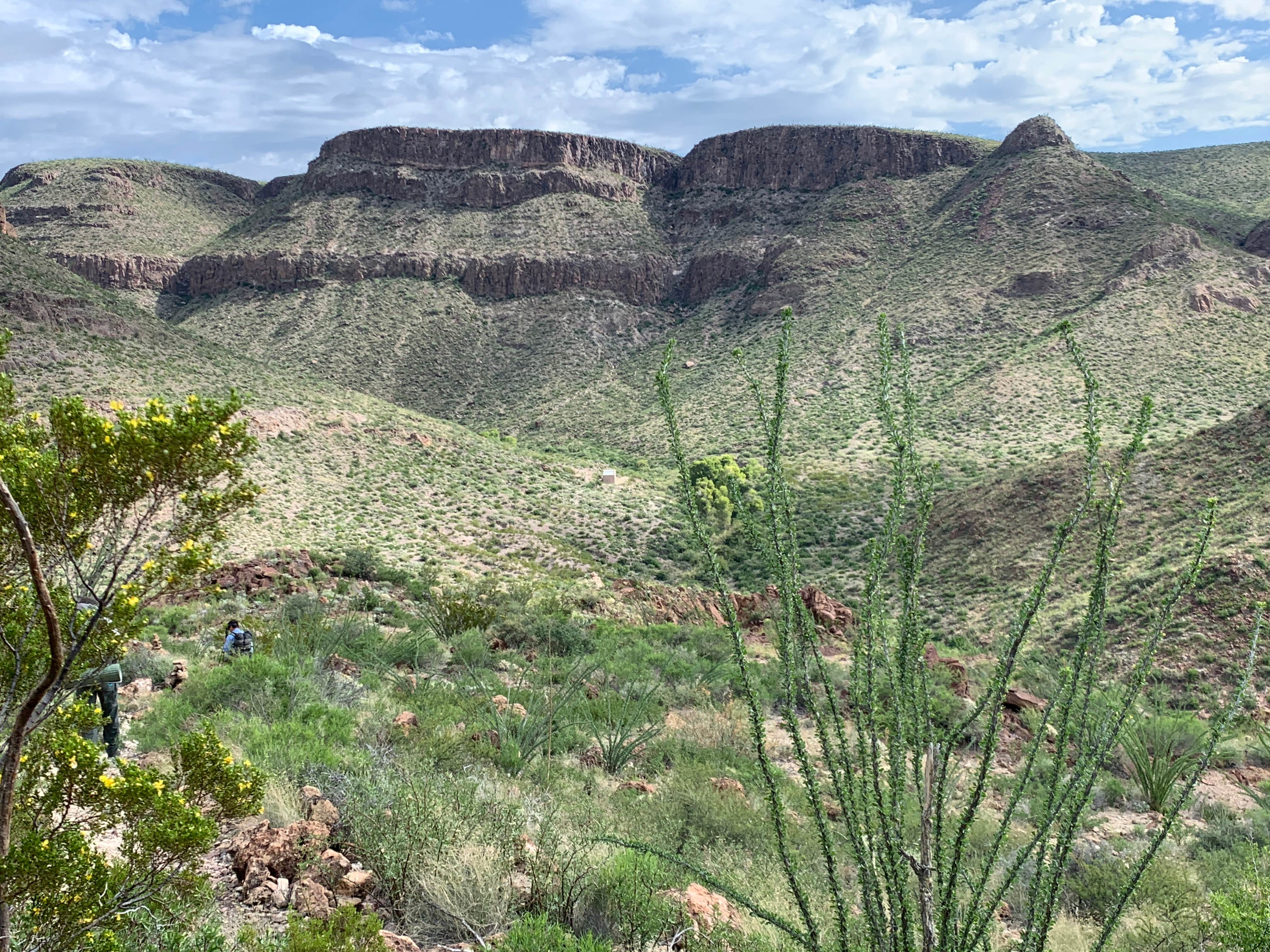 Camper-submitted photo at Casa Reza Farmhouse and Creek on the Rancherias Loop Primitive Camping — Big Bend Ranch State Park near Redford, TX