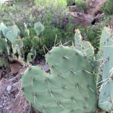 Review photo of Casa Reza Farmhouse and Creek on the Rancherias Loop by Troy W., November 1, 2019