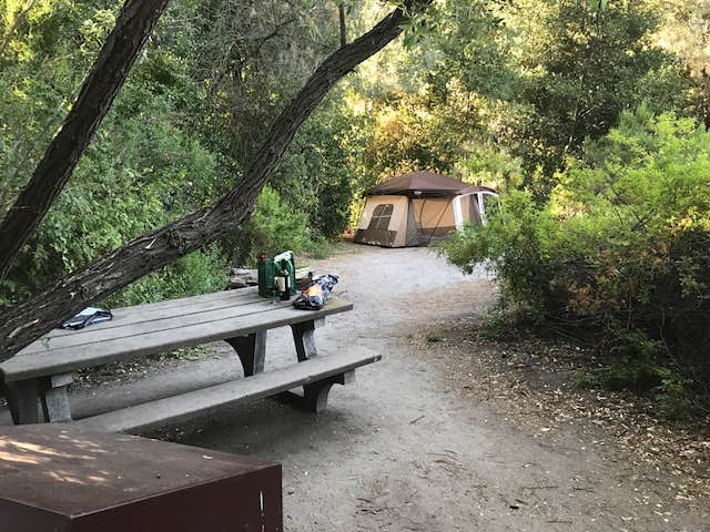 Camper submitted image from Pinnacles Campground — Pinnacles National Park - 4
