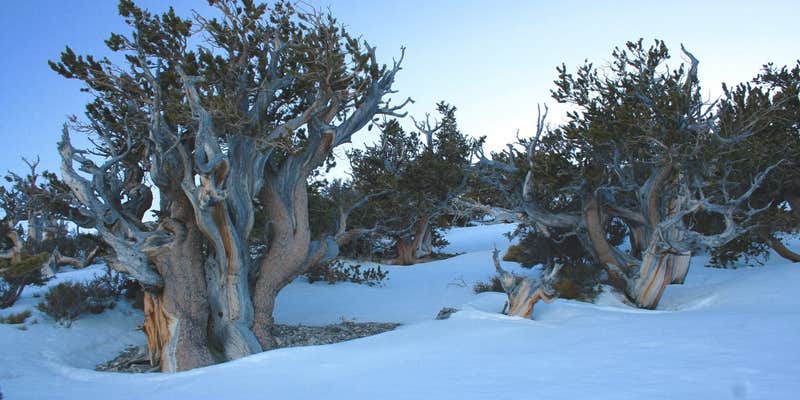 Camper submitted image from Marjum Canyon - Dispersed