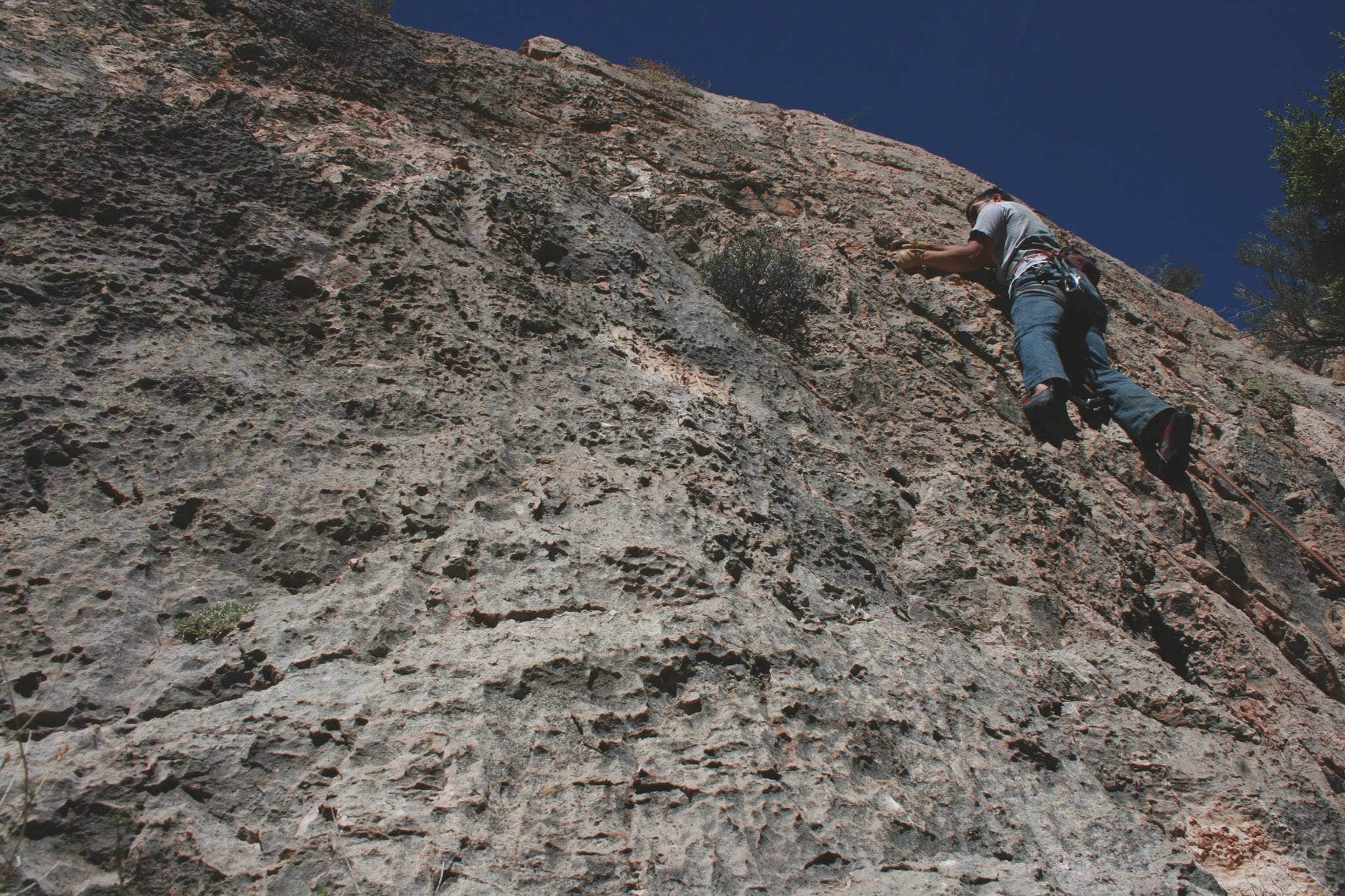 Camper submitted image from Marjum Canyon - Dispersed - 4
