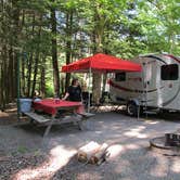 Review photo of Hills Creek State Park Campground by J K., November 1, 2019