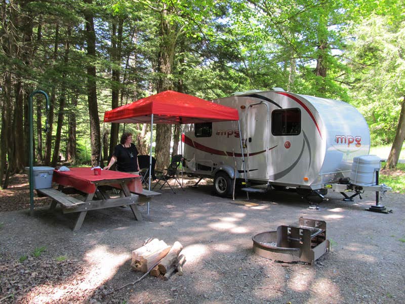 Camper submitted image from Hills Creek State Park Campground - 4