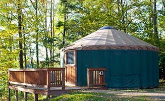 J K.'s photo of glamping accommodations at Hills Creek State Park Campground near Cogan Station, PA
