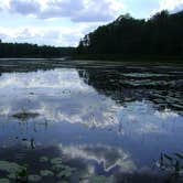 Review photo of Pickerel Point Campground — Promised Land State Park by J K., November 1, 2019