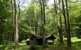 J K.'s photo of a cabin at Pickerel Point Campground — Promised Land State Park near Factoryville, PA