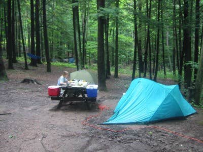 Camper submitted image from Sinnemahoning State Park Campground - 4