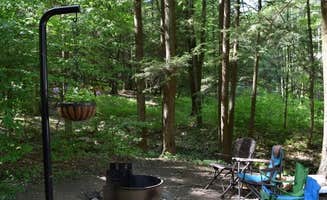 J K.'s photo at Sinnemahoning State Park Campground near Weedville, PA