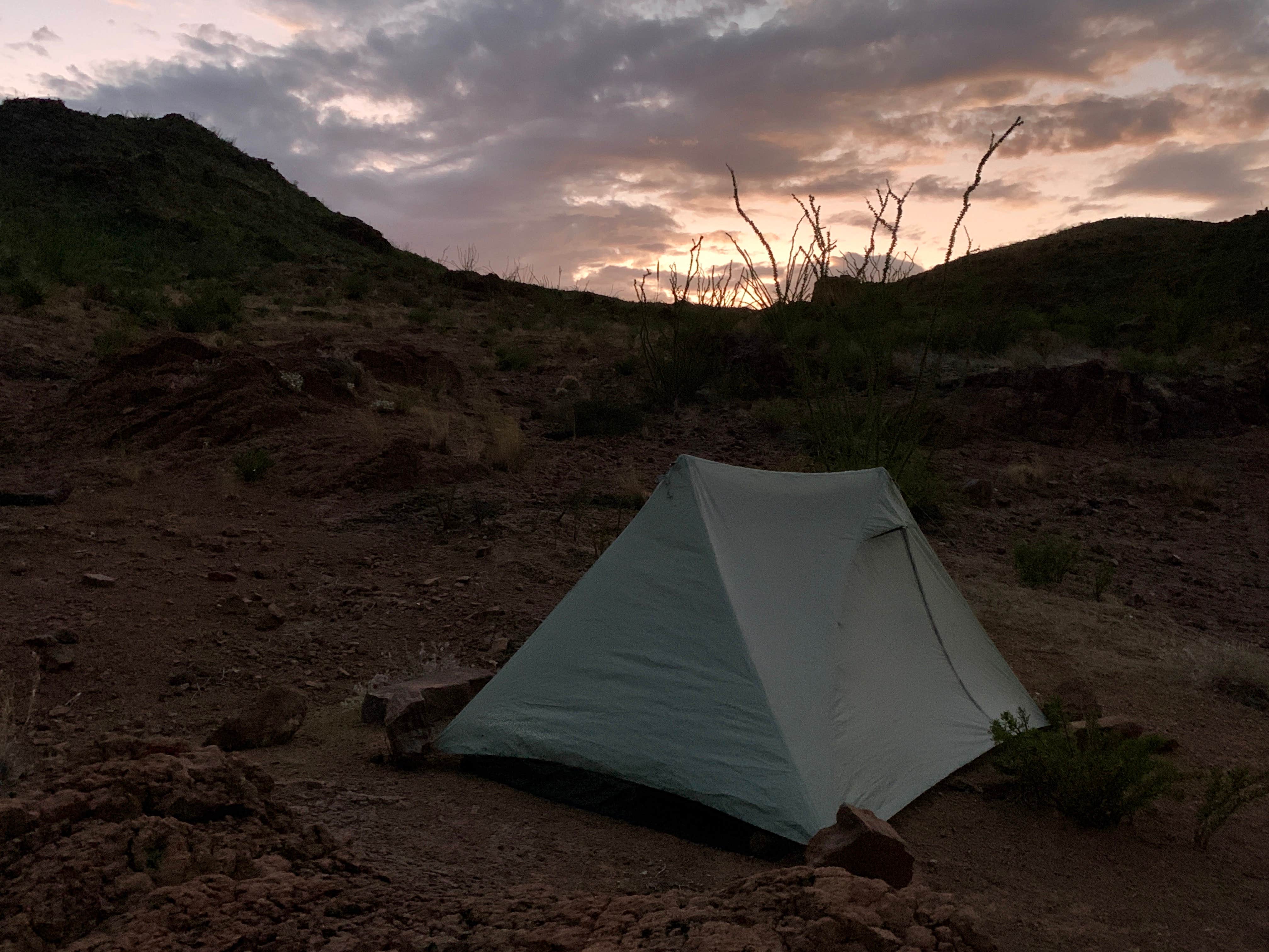 Camper submitted image from Rancherias Spring on the Rancherias Loop at Big Bend Ranch State Park - 5