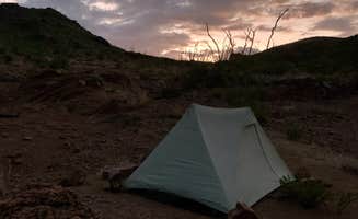 Troy W.'s photo at Rancherias Spring on the Rancherias Loop — Big Bend Ranch State Park near Presidio, TX