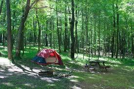 J K.'s photo at Tobyhanna State Park Campground near Spring Brook, PA
