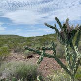 Review photo of Rancherias Spring on the Rancherias Loop at Big Bend Ranch State Park by Troy W., November 1, 2019