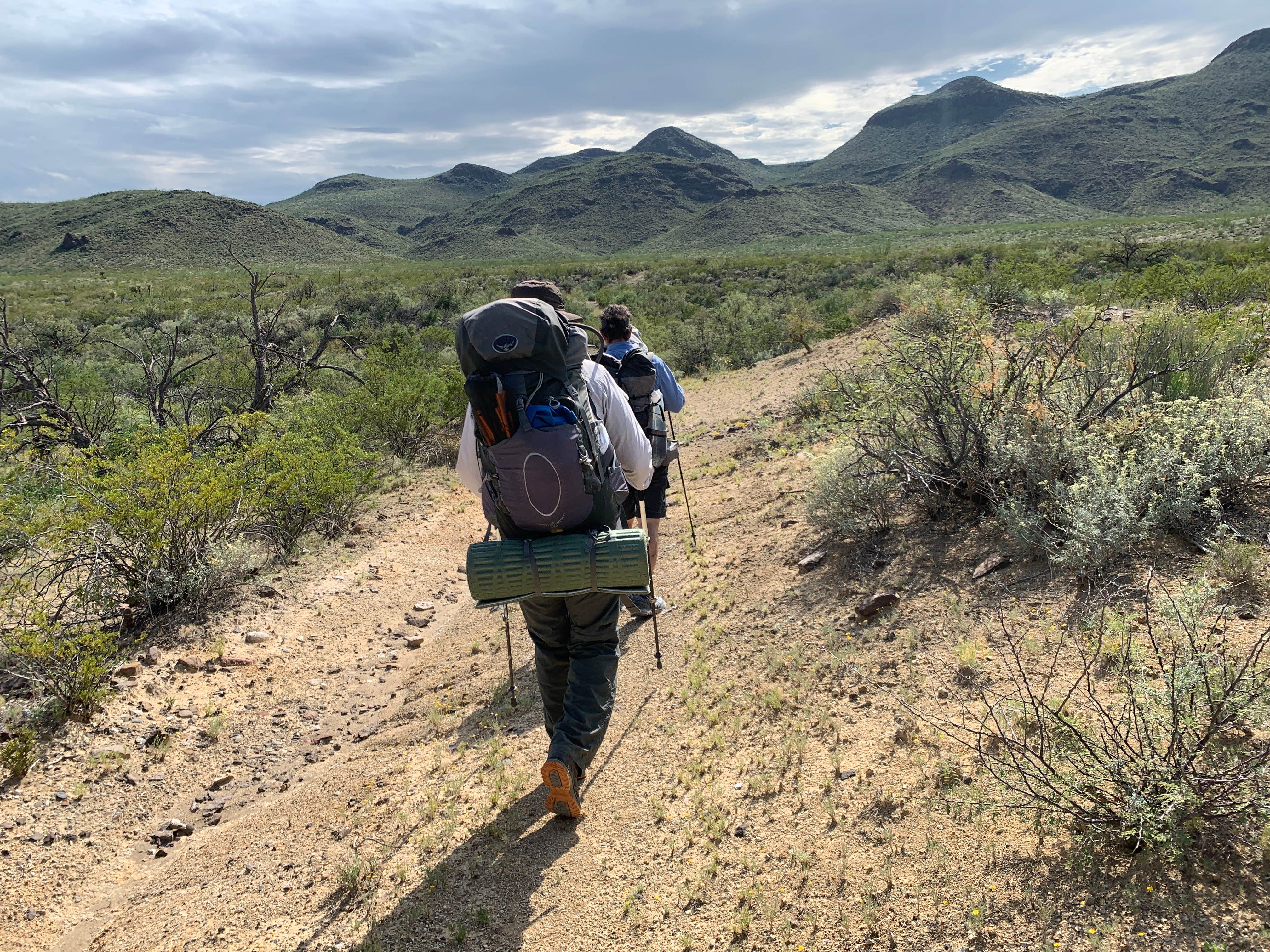 Camper submitted image from Rancherias Spring on the Rancherias Loop at Big Bend Ranch State Park - 4