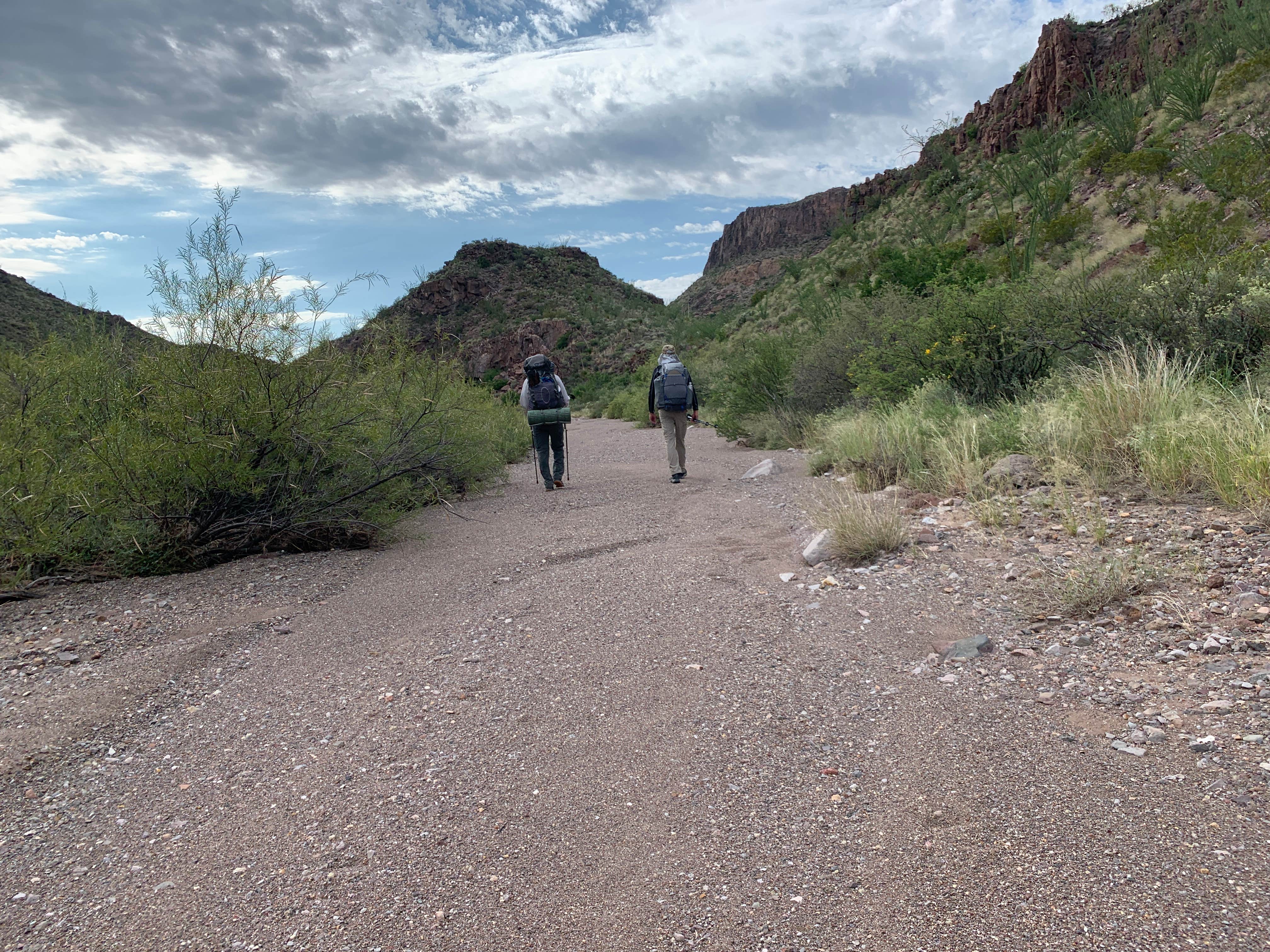 Camper submitted image from Rancherias Spring on the Rancherias Loop at Big Bend Ranch State Park - 3