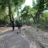 Review photo of Rancherias Spring on the Rancherias Loop at Big Bend Ranch State Park by Troy W., November 1, 2019