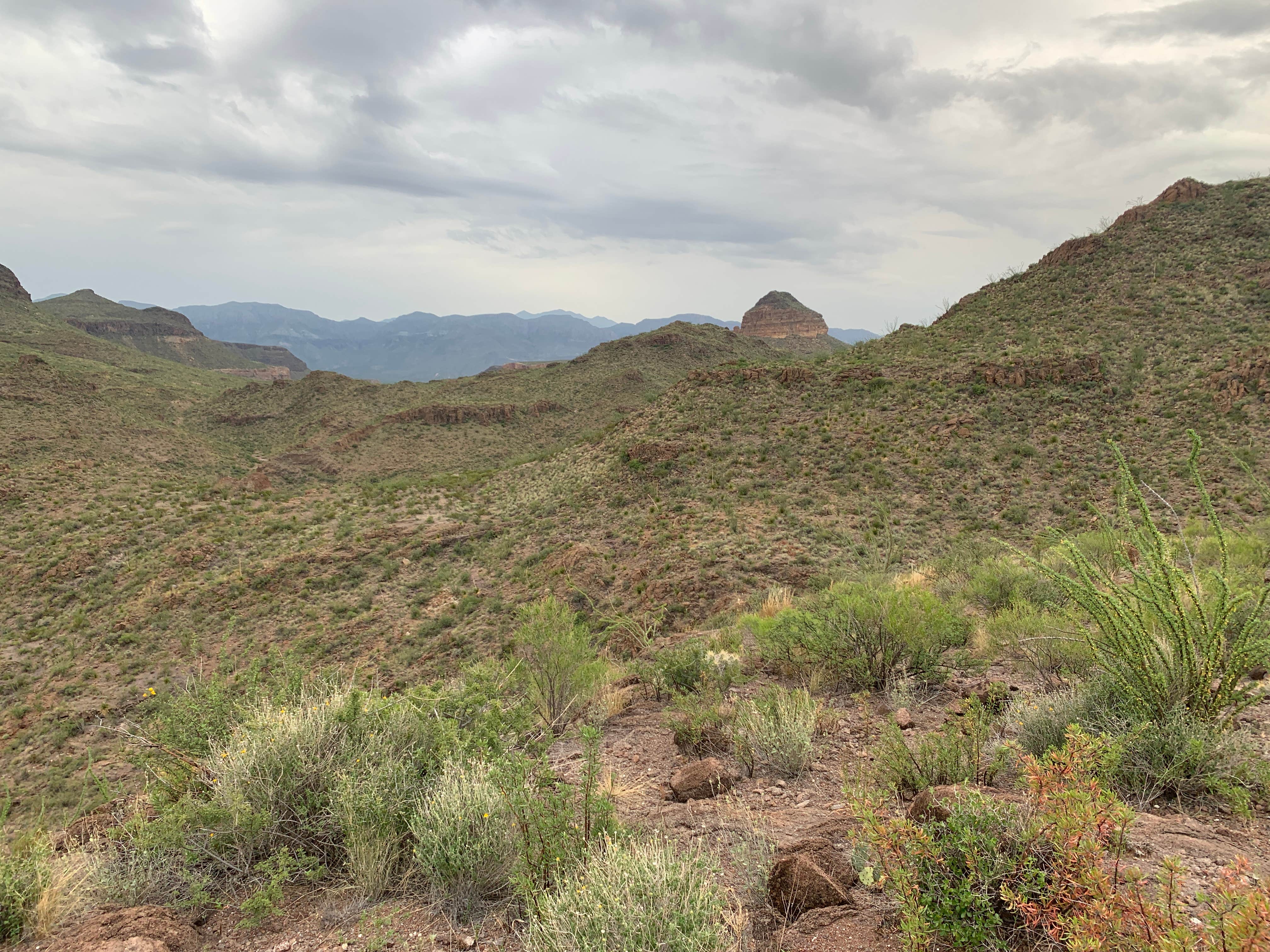 Camper-submitted photo at Rancherias Spring on the Rancherias Loop — Big Bend Ranch State Park near Redford, TX
