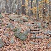 Review photo of Bear Brook State Park Campground by Jean C., November 1, 2019