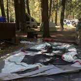 Review photo of North Pines Campground — Yosemite National Park by Erin S., November 1, 2019