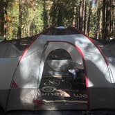 Review photo of North Pines Campground — Yosemite National Park by Erin S., November 1, 2019