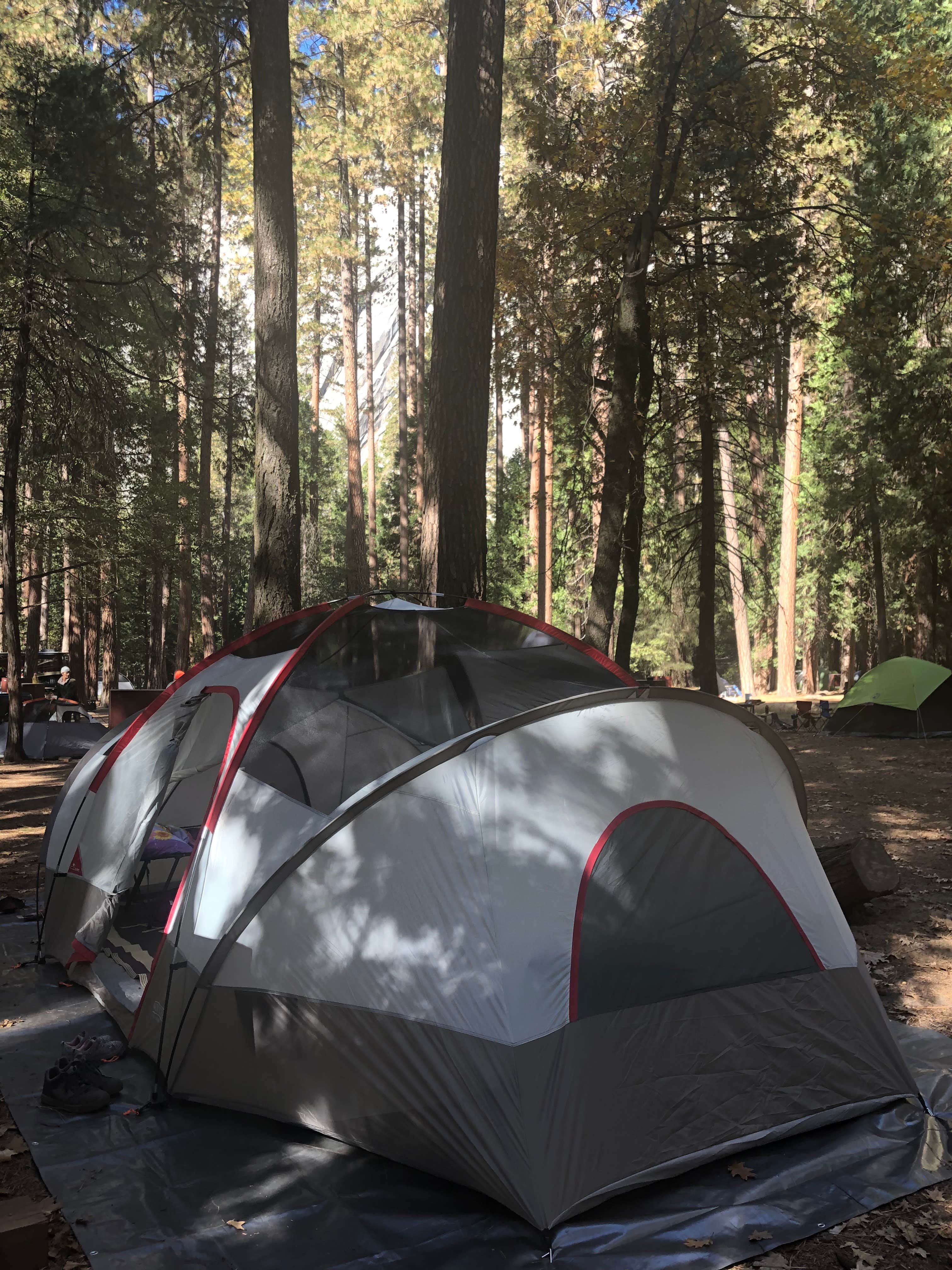 Erin S.'s photo at North Pines Campground — Yosemite National Park near Yosemite National Park