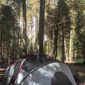 Review photo of North Pines Campground — Yosemite National Park by Erin S., November 1, 2019