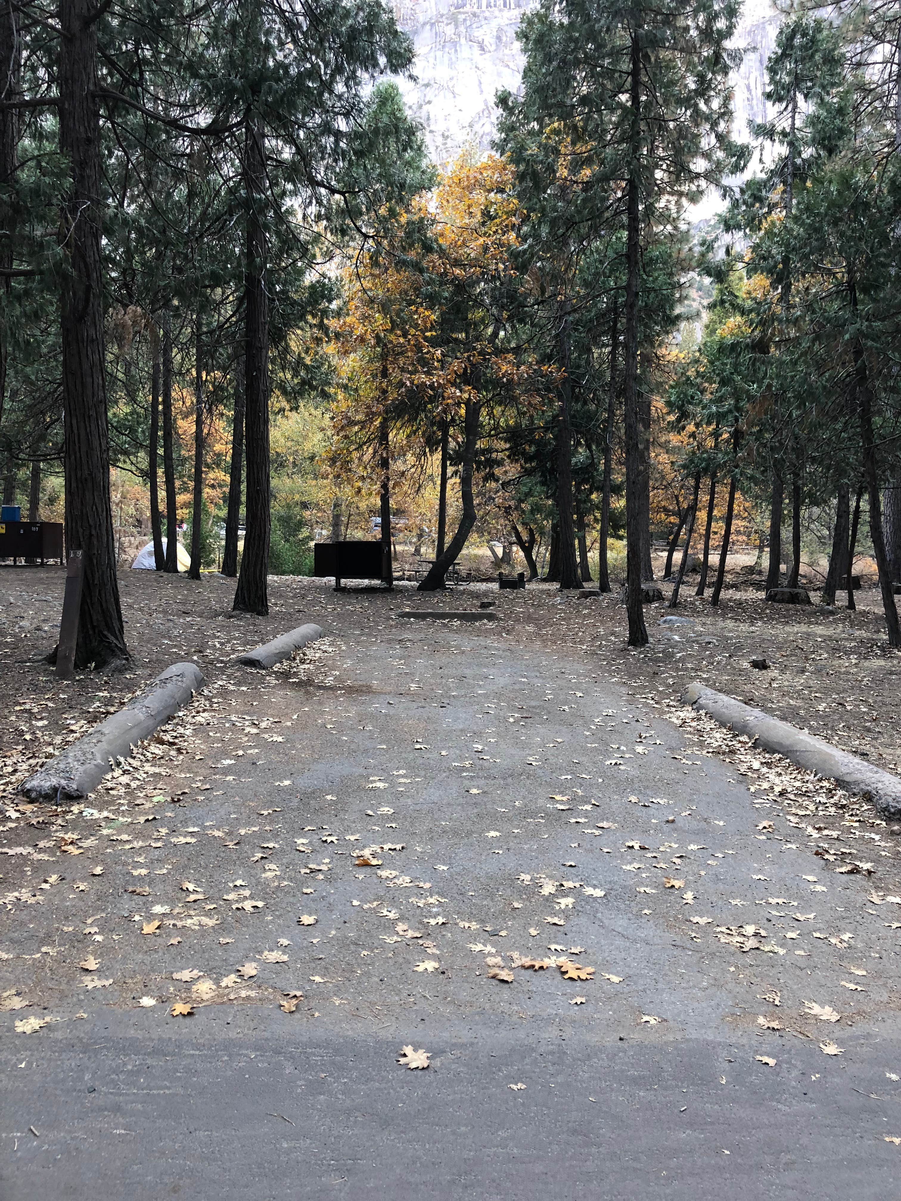 Another site at North Pines.