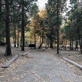 Review photo of North Pines Campground — Yosemite National Park by Erin S., November 1, 2019